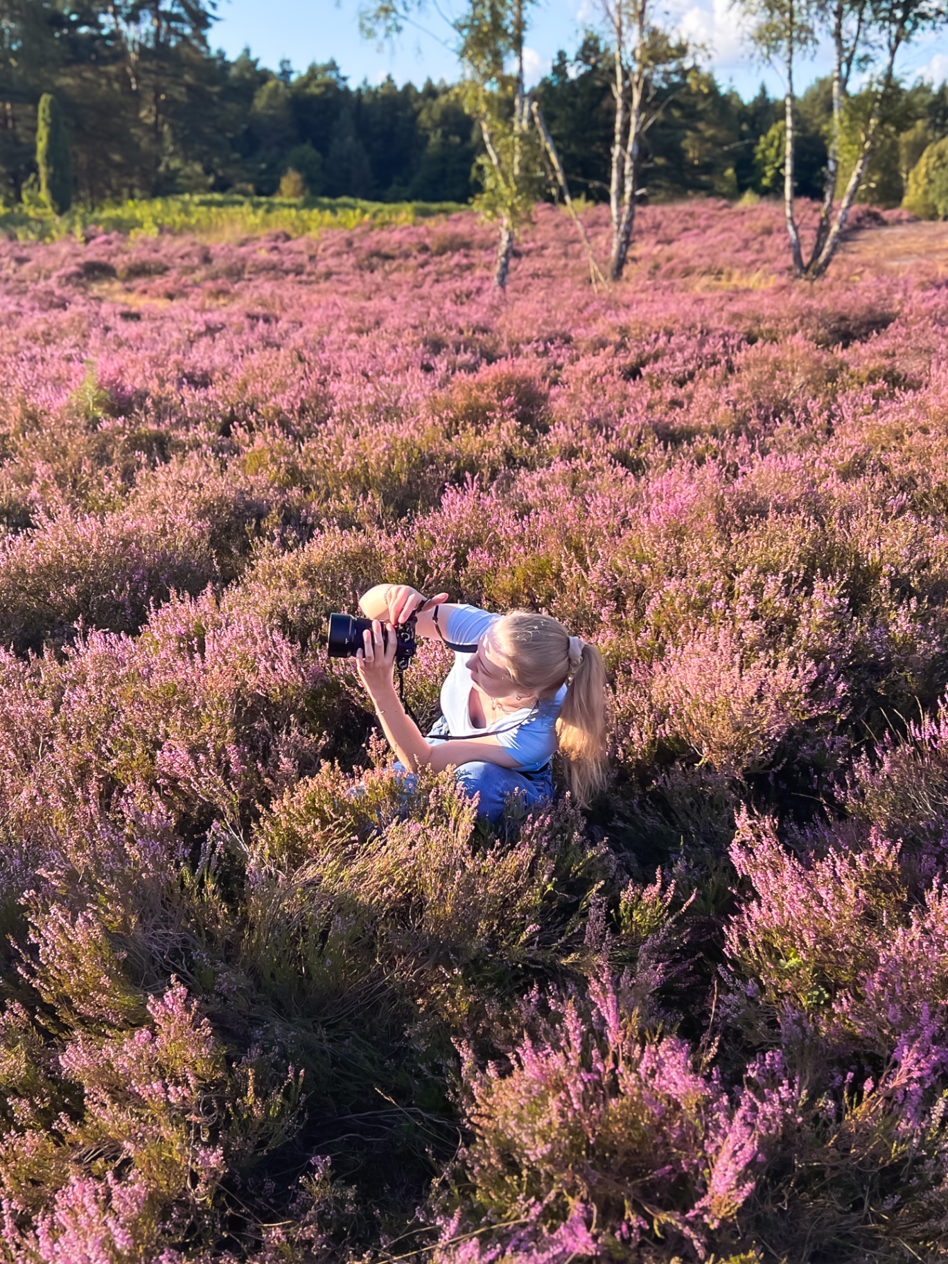 Prissi beim Fotografieren in der Heide
