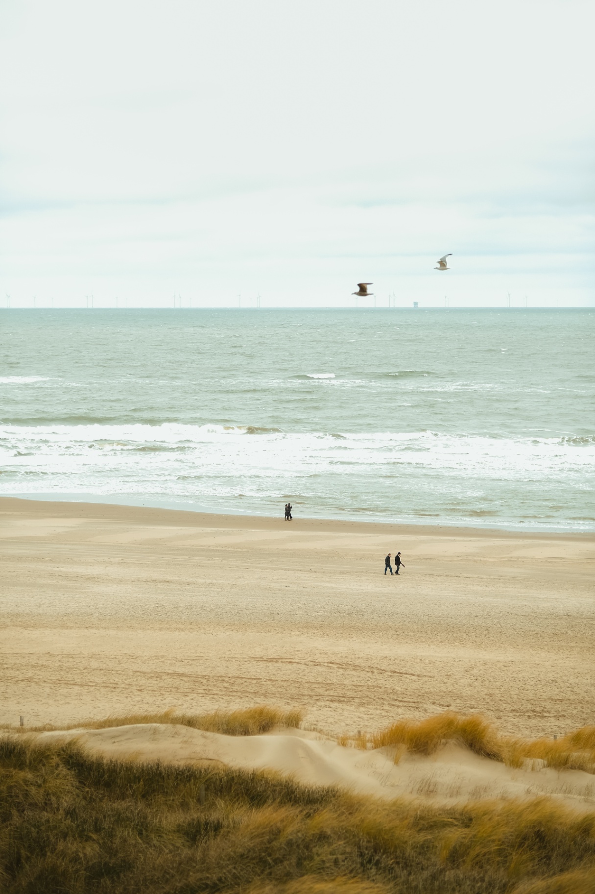 Menschen am Strand mit Möwen